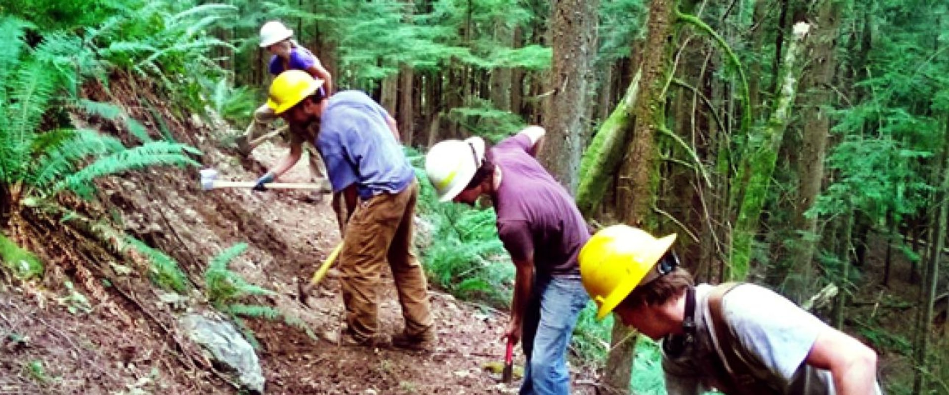 The Power of Volunteers in Decision-Making for Voluntary Organizations in Washington County, Oregon