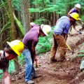 The Power of Volunteers in Decision-Making for Voluntary Organizations in Washington County, Oregon