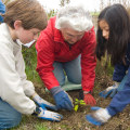 Empowering Marginalized Communities: The Impact of Voluntary Organizations in Washington County, Oregon