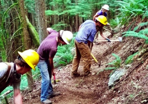 The Power of Volunteers in Decision-Making for Voluntary Organizations in Washington County, Oregon